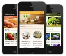 手機(jī)網(wǎng)站怎樣做才更有效果？如何做優(yōu)化？
