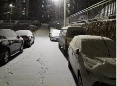 青島！大雪！大愛！