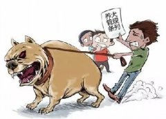 青島10月份一大波勁爆消息，你知道嗎？