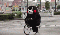 青島也有“共享單車”啦！說騎就騎的旅程GO